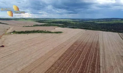 Fazenda à venda, 13490000 m² por r$ 111.936.000,00 - zona rural - primavera do leste/mt