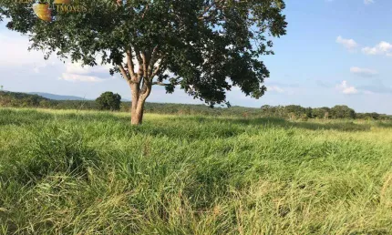 Fazenda à venda, 3500000 m² por R$ 8.000.000,00 - Zona Rural - Rosário Oeste/MT