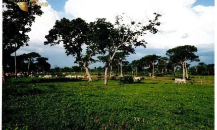 Fazenda à venda, 99850000 m² por R$ 80.000.000,00 - Ribeirão do Lipa - Cuiabá/MT