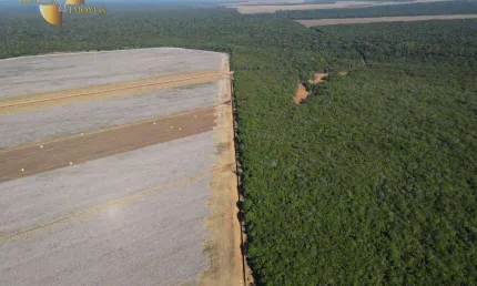 Fazenda à venda, 60000000 m² por R$ 139.920.000,00 - Zona Rural - Tabaporã/MT