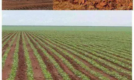 Fazenda à venda, 33800000 m² por R$ 378.911.520,00 - Zona Rural - Primavera do Leste/MT