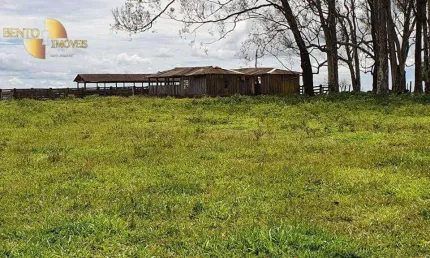 Fazenda à venda, 60000000 m² por R$ 200.000.000,00 - Zona Rural - Primavera do Leste/MT