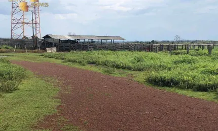 Fazenda à venda, 40950000 m² por R$ 350.000.000,00 - Jardim Paulista - Araguaína/TO