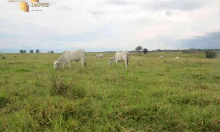 Fazenda à venda, 25410000 m² por R$ 35.000.000,00 - Zona Rural - Pontes e Lacerda/MT