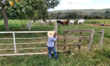 Fazenda à venda, 16100000 m² por R$ 40.000.000,00 - Zona Rural - Poxoréu/MT