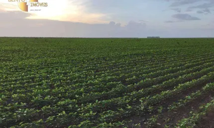 Fazenda à venda, 18000000 m² por R$ 186.690.000 - Balsas/Maranhão