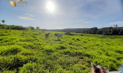 Fazenda à venda, 38000000 m² por r$ 20.000.000,00 - zona rural - alta floresta/mt