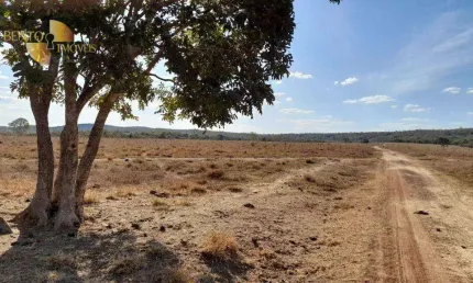 Fazenda à venda, 11400000 m² por r$ 26.000.000,00 - zona rural - paranatinga/mt