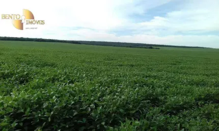 Fazenda à venda, 40800000 m² por R$ 185.752.200,00 - assentamento  - Ribeirão Cascalheira/MT