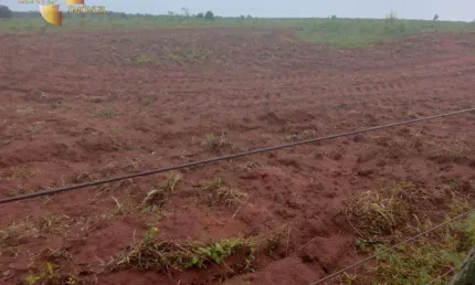 Fazenda à venda, 46500000 m² por R$ 150.000.000,00 - Zona Rural - Primavera do Leste/MT