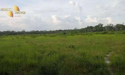 Fazenda à venda, 500000000 m² por R$ 150.000.000,00 - Zona Rural - Boa Vista/RR
