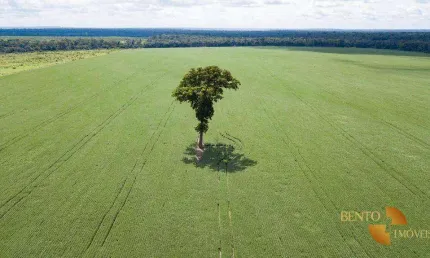 Fazenda à venda, 50500000 m² por R$ 242.000.000,00 - Zona Rural - Porto dos Gaúchos/MT
