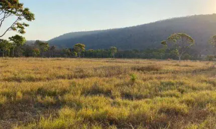 Fazenda à venda, 6500000 m² por R$ 8.000.000,00 - Zona Rural - Barão de Melgaço/MT
