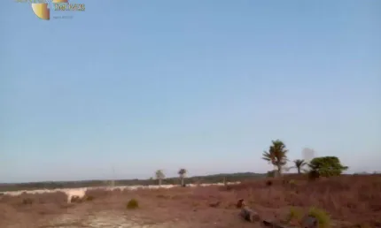 Fazenda à venda, 883640000 m² por R$ 17.000.000,00 - Zona Rural - Marcelândia/MT