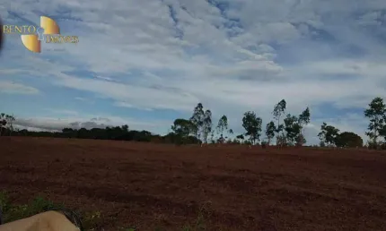 Sítio com 2 dormitórios à venda, 450000 m² por R$ 1.150.000,00 - Zona Rural - Acorizal/MT