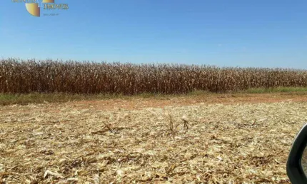 Fazenda à venda, 25000000 m² por R$ 170.000.000,00 - Zona Rural - Nova Maringá/MT