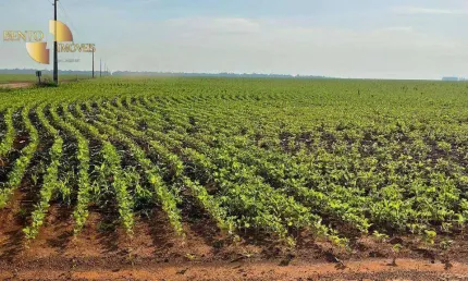 Fazenda à venda, 36000000 m² por R$ 340.000.000,00 - Zona Rural - Ipiranga do Norte/MT