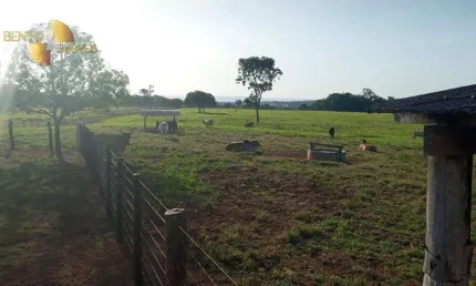 Fazenda à venda, 3700000 m² por r$ 11.100.000,00 - zona rural - cuiabá/mt