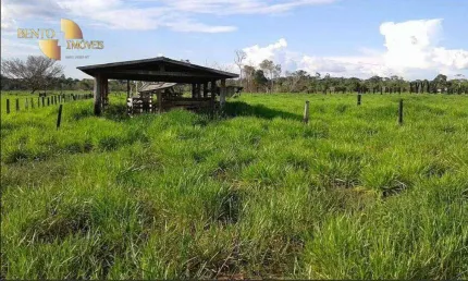 Fazenda à venda, 123390000 m² por R$ 178.369.000,00 - Zona Rural - Brasnorte/MT