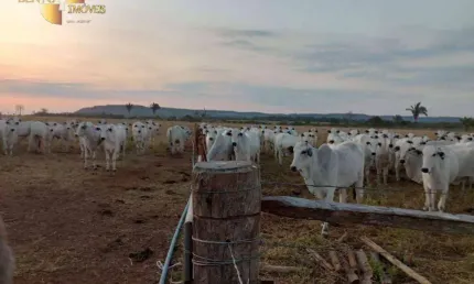 Fazenda à venda, 4000000 m² por r$ 32.000.000,00 - zona rural - tangará da serra/mt