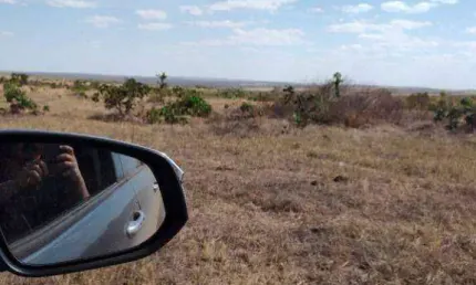 Fazenda para alugar, 25920000 m² por R$ 1.878.500,00/ano - Zona Rural - Paranatinga/MT