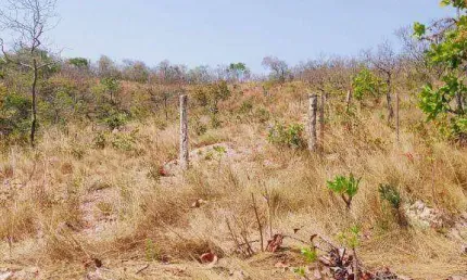 Fazenda à venda, 6000000 m² por R$ 2.800.000,00 - Zona Rural - Jangada/MT