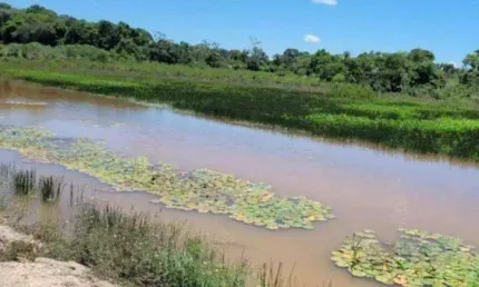 Fazenda à venda, 5340000 m² por R$ 15.000.000,00 - Zona Rural  - Várzea Grande/MT