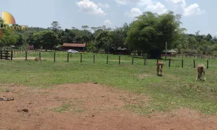 Fazenda para arrendamento, 15000000 m² - Zona Rural - Nova Santa Helena/MT