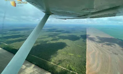 Fazenda à venda, 5560000 m² por r$ 30.000.000,00 - zona rural - campo novo do parecis/mt