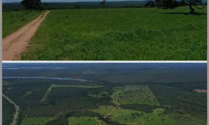 Fazenda à venda, 2800000 m² por R$ 7.500.000 - Cuiabá/MT