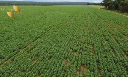 Fazenda à venda, 2000000 m² por R$ 14.280.000,00 - Zona Rural - Nova Mutum/MT