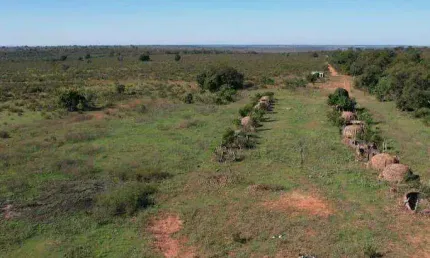 Fazenda à venda, 23490000 m² por R$ 61.074.000,00 - Zona Rural - Ribas do Rio Pardo/MS