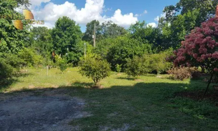 Fazenda à venda, 15000 m² por r$ 300.000,00 - zona rural - santo antônio do leverger/mt