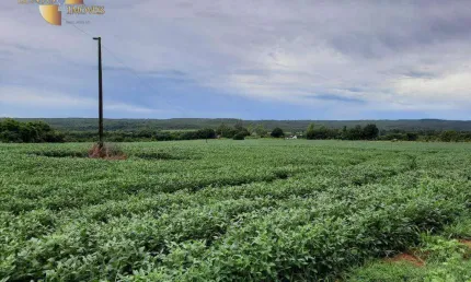 Fazenda à venda, 27000000 m² por R$ 10.000,00 - Zona Rural - Nova Mutum/MT