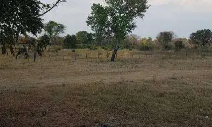 Fazenda à venda, 22370000 m² por R$ 9.000.000,00 - Zona Rural - Barão de Melgaço/MT