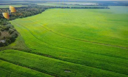 Fazenda à venda, 10040000 m² por R$ 127.500.000,00 - Zona Rural - Lucas do Rio Verde/MT