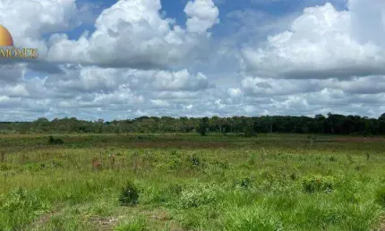 Fazenda à venda, 90 hectares por R$ 2.600.000 - Zona Rural - Pimenta Bueno/RO