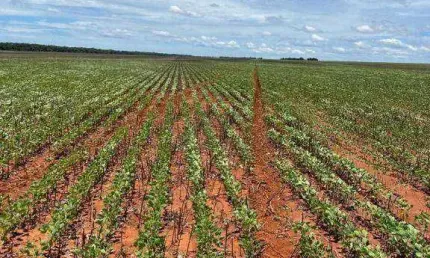 Fazenda à venda, 8900000 m² por R$ 151.300.000,00 - Zona Rural - Diamantino/MT