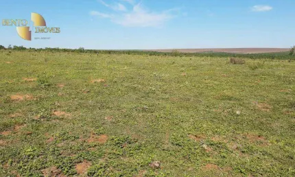 Fazenda à venda, 2000000 m² por R$ 7.000.000,00 - Zona Rural - Rondonópolis/MT
