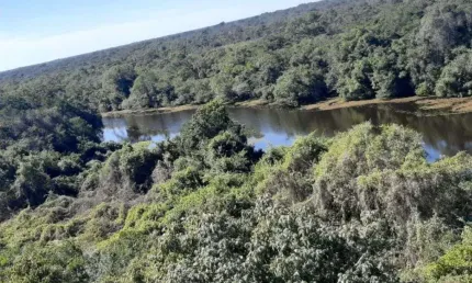 Fazenda à venda, 9600000 m² por R$ 6.000.000,00 - Centro - Poconé/MT