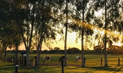 Fazenda à venda, 187000000 m² por R$ 140.000.000,00 - Zona Rural - Poconé/MT