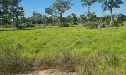Fazenda à venda, 164000000 m² por R$ 73.800.000,00 - Centro - Poconé/MT