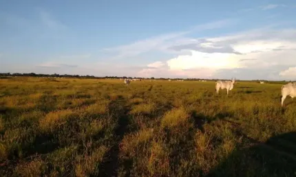 Fazenda à venda, 93800000 m² por R$ 46.900.000,00 - Zona Rural - Poconé/MT