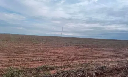 Fazenda para arrendamento, 15000000 m² por R$ 10.000/mês - Centro - Tapurah/MT