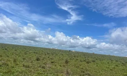 Fazenda à venda, 70000000 m² por r$ 204.000.000,00 - zona rural - feliz natal/mt
