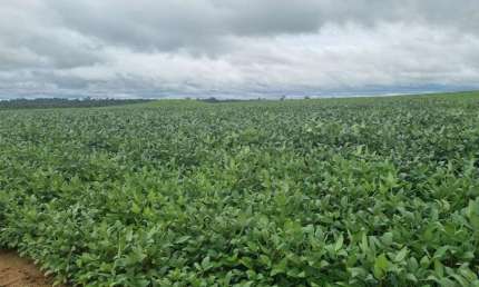 Fazenda à venda, 9300000 m² por R$ 100.000.000,00 - Zona Rural - Porto Velho/RO