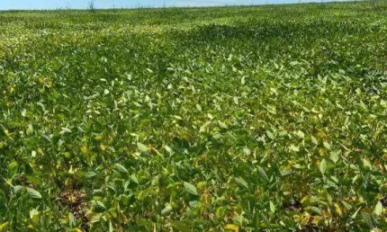 Fazenda à venda, 16300000 m² por R$ 33.000.000,00 - Zona Rural - Poconé/MT
