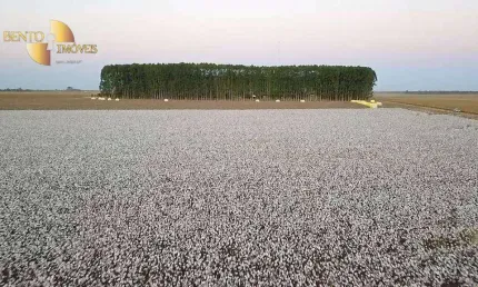 Fazenda à venda, 33000000 m² por r$ 408.000.000,00 - zona rural - nova mutum/mt