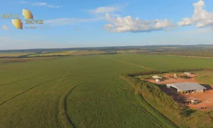 Fazenda à venda, 80000000 m² por R$ 200.000.000,00 - Zona Rural - Primavera do Leste/MT