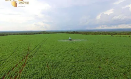 Fazenda à venda, 11450000 m² por R$ 33.000.000,00 - Zona Rural - Diamantino/MT